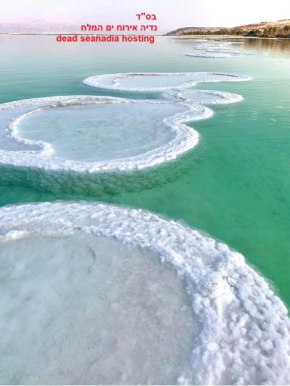 Nadia Hosting Dead Sea